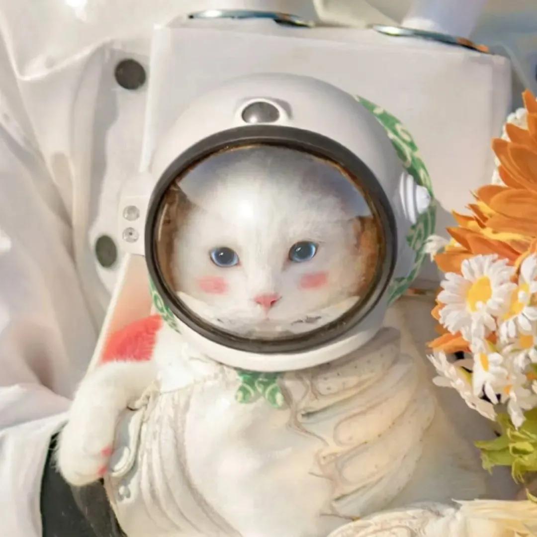 凡事看得开生活才能嗨动图,凡事看得开生活才能嗨背景图