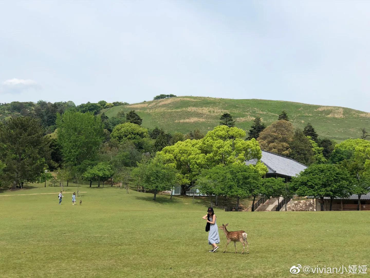 日本大阪旅游攻略最新,日本大阪旅游攻略一天多少钱