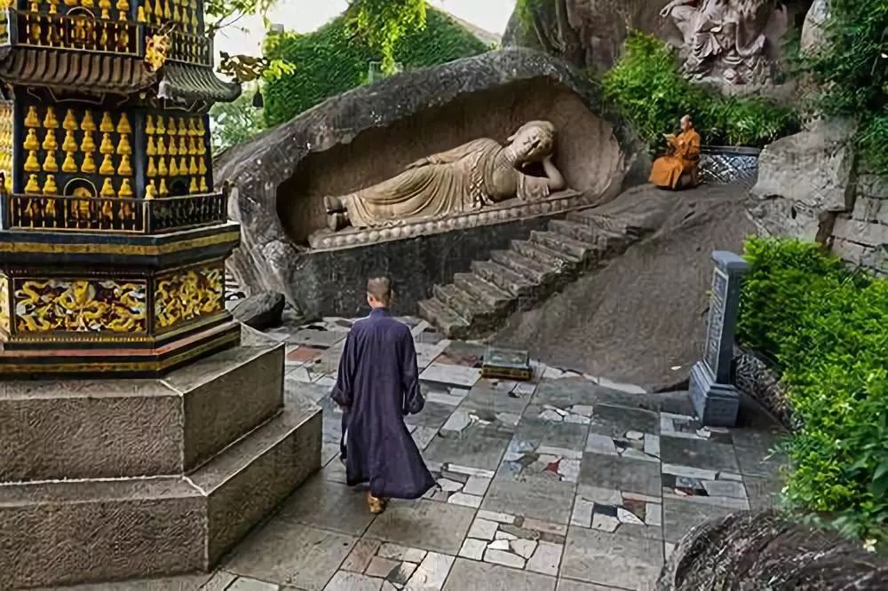 徕卡sl2直播,徕卡sl2发布时间