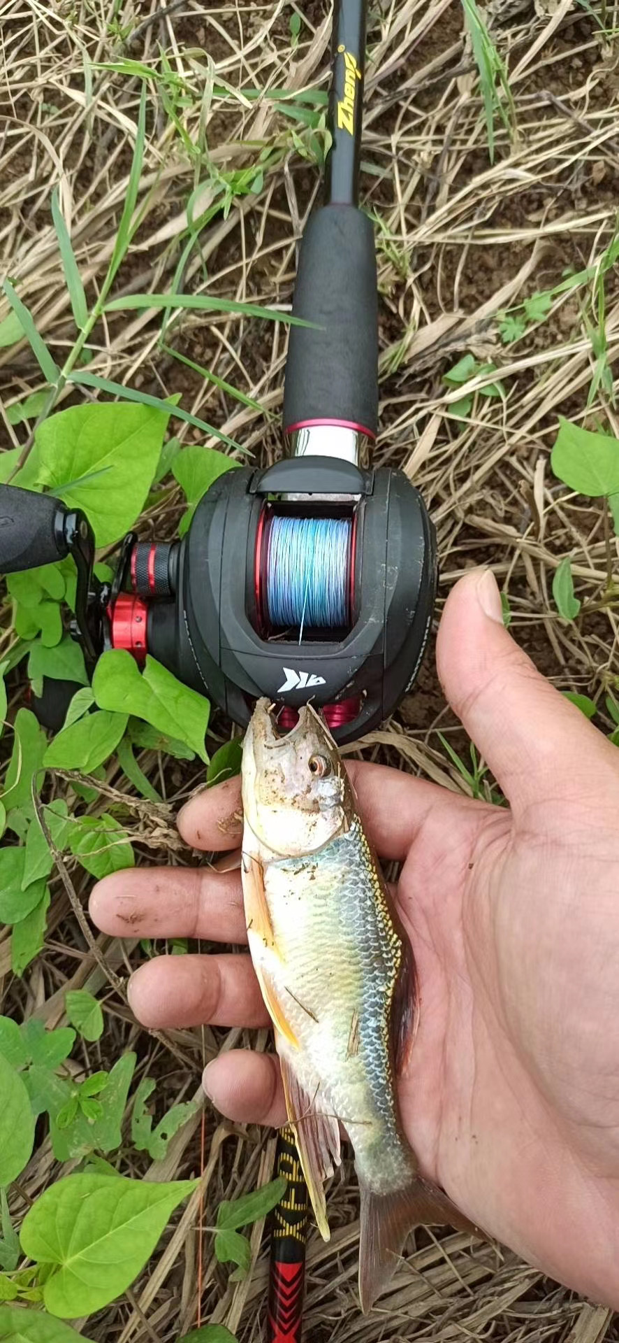 直柄路亚竿跟枪柄路亚有什么差别,路亚ul马口竿建议直柄还是枪柄
