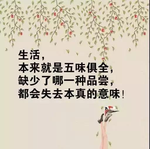 生活哲理感悟正能量,生活感悟的经典哲理句子句句精辟