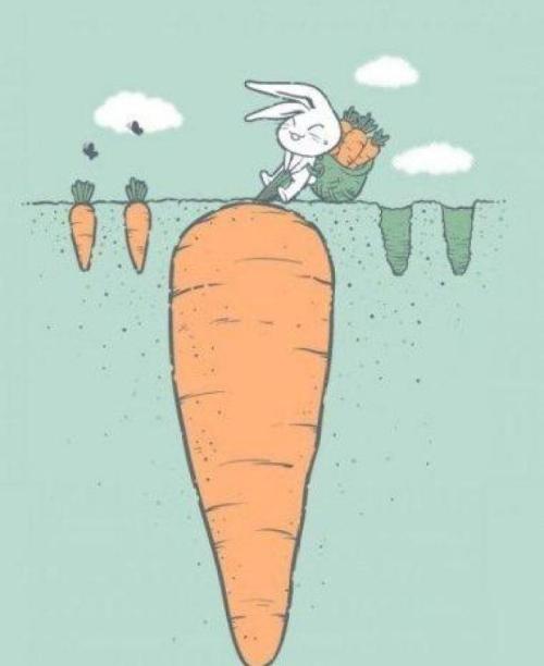 2019坤坤瘦身日记,坤坤的减脂日常