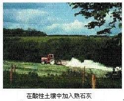 初三化学盐和化肥知识点总结,初三化学盐与化肥课程讲解