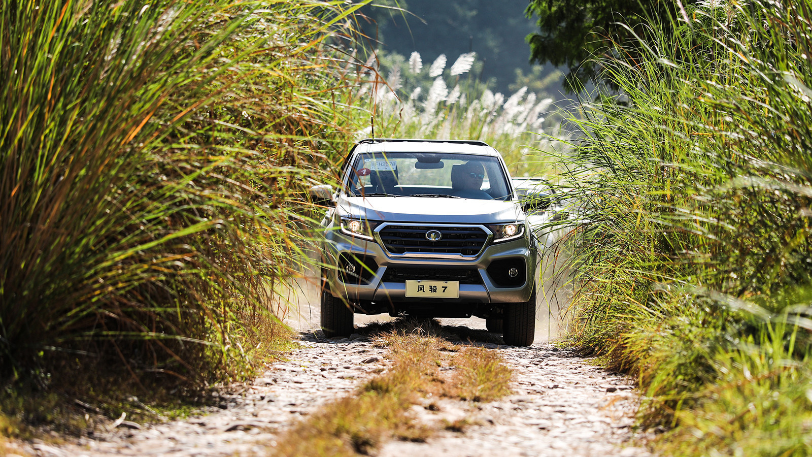 2023中国皮卡销量排行榜,中国皮卡销冠