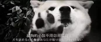 单身生活有多爽,日本宅男的真实生活