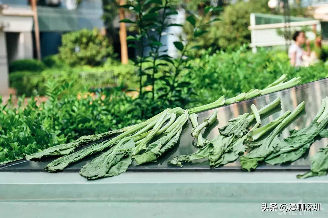 深圳益田村地址,行走深圳系列罗湖