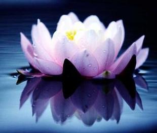 2023年清明祭祖有什么禁忌,清明祭祖有什么禁忌