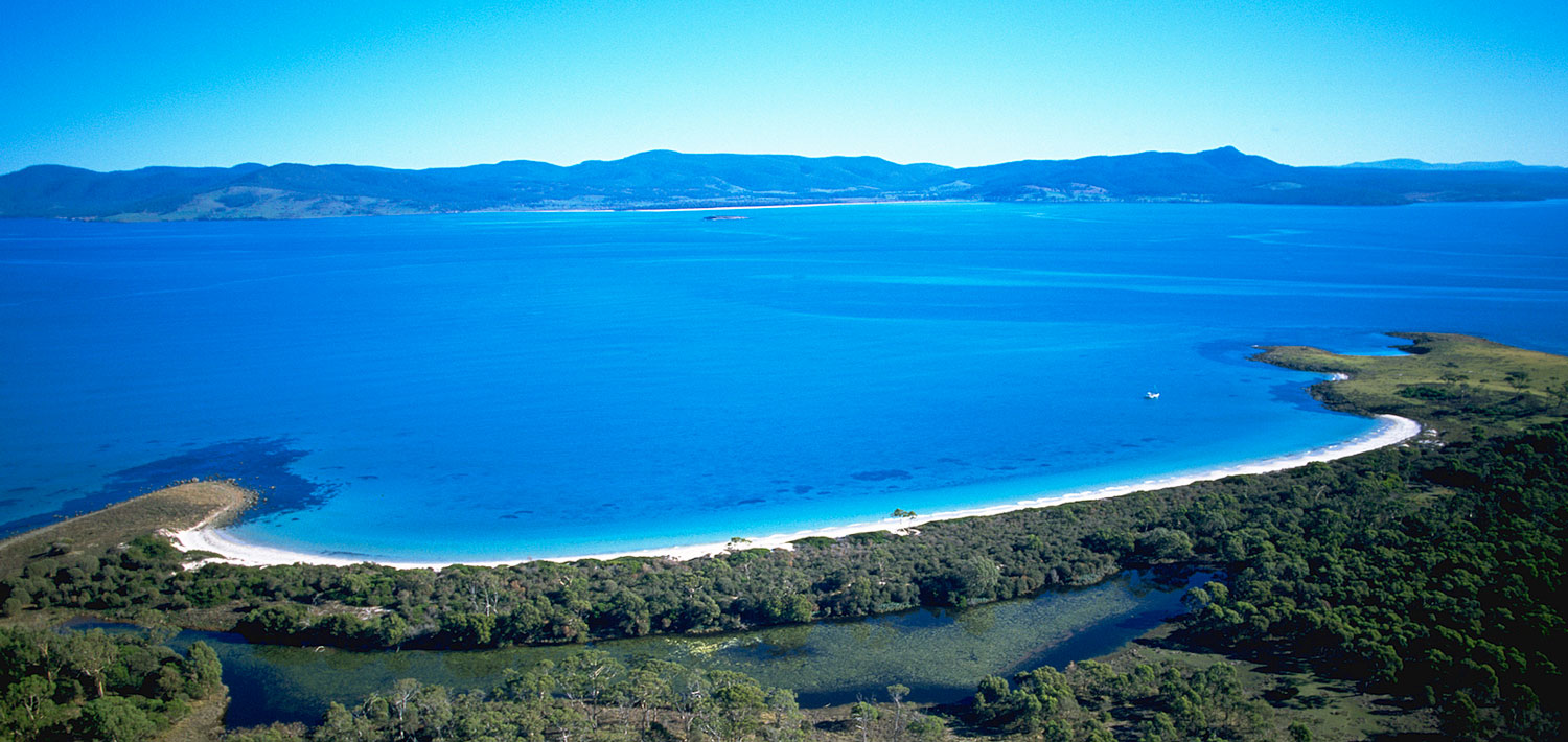 放生企鹅被海豹吃了,企鹅濒临灭绝