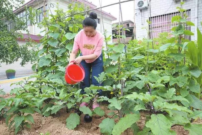 复兴区美丽乡村,复兴区户村镇美丽乡村
