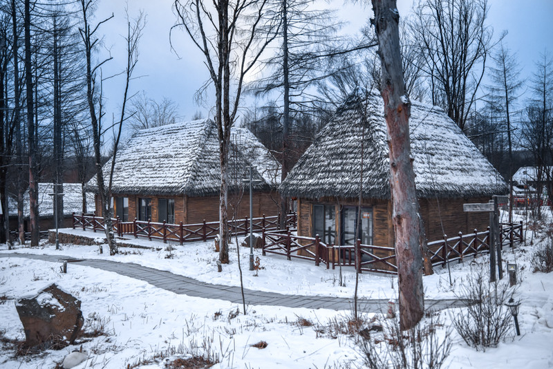 冰雪总动员简介,冰雪总动员