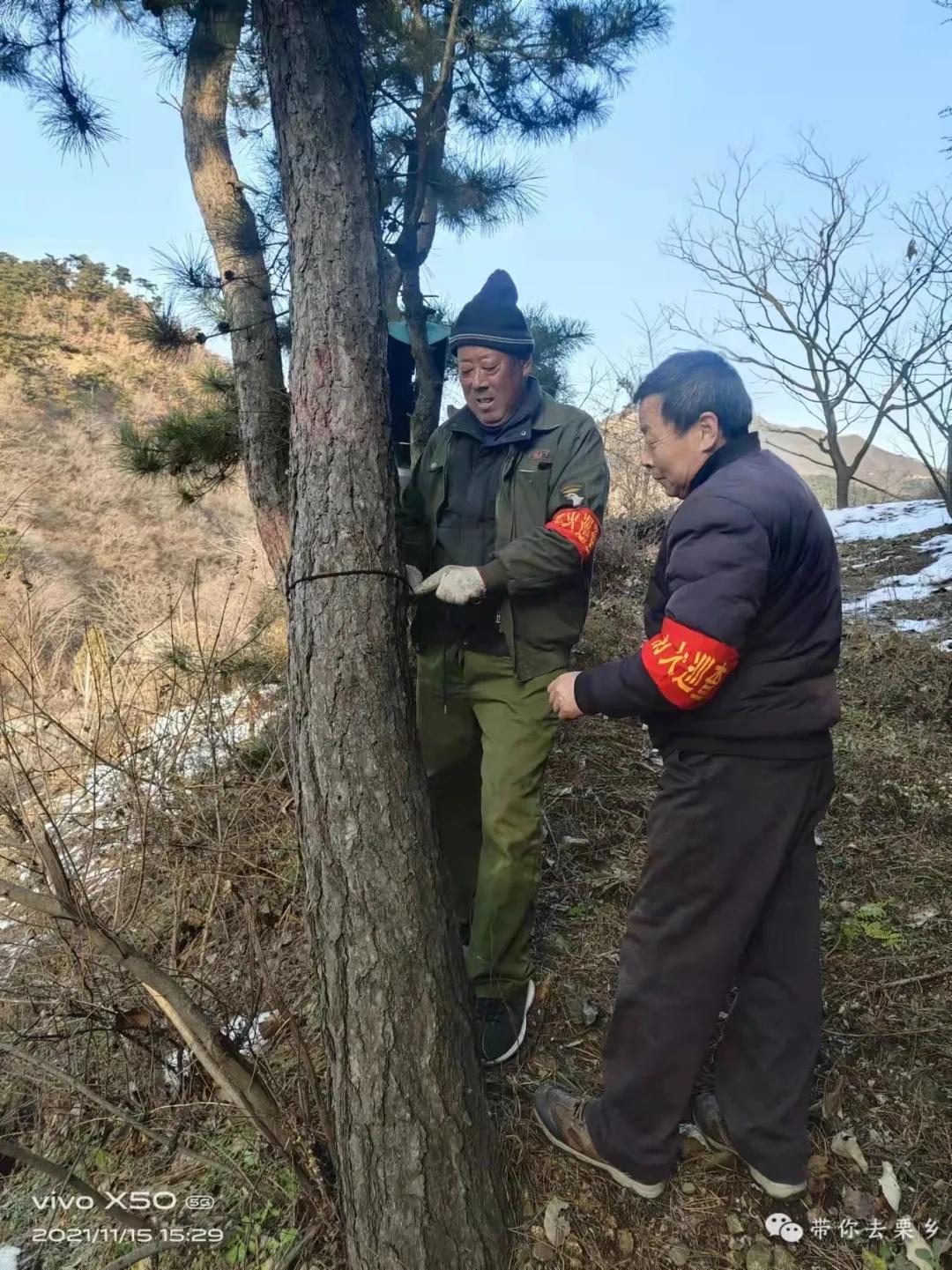山大王的悠闲生活小说,山大王的日常生活