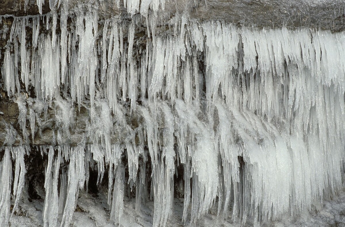 半夜醒来发现床上有一条小蛇,晚上看到一条蛇小说