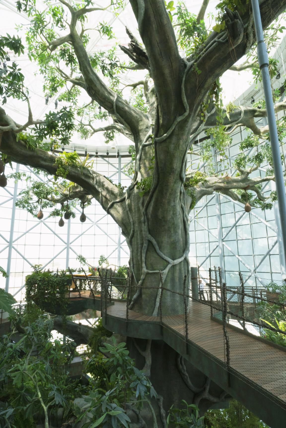 迪拜旅游全新攻略,迪拜旅游必备清单