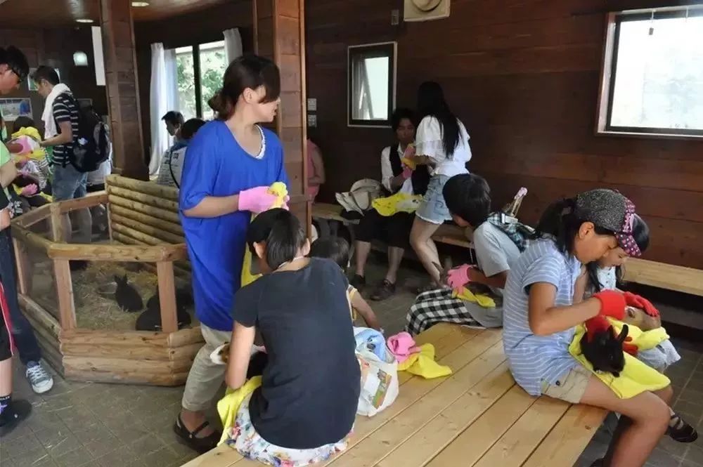 日本母亲农场项目,日本一个亲子农场年赚3亿