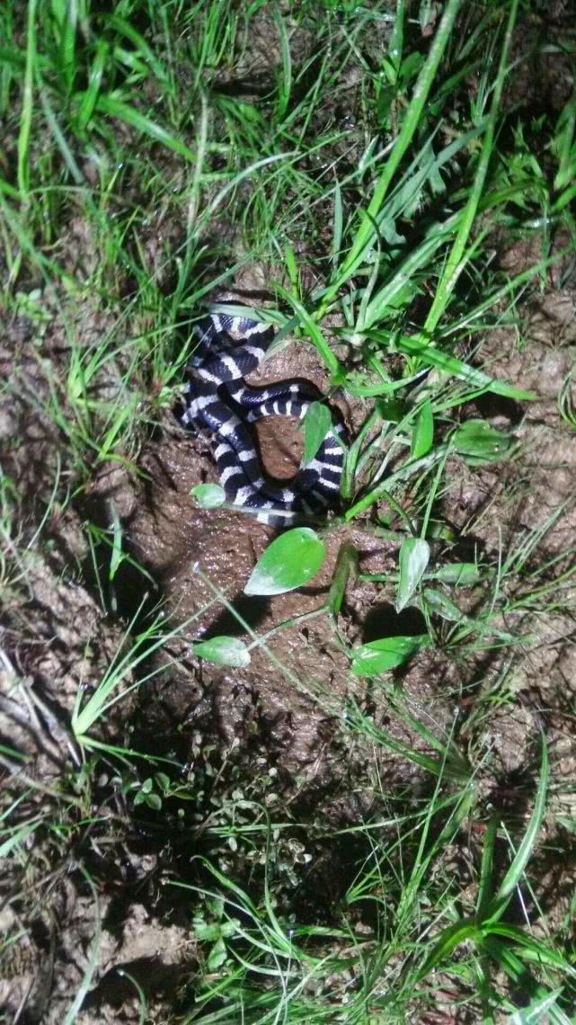 鬼门关跑了一圈,鬼门关里跑了一圈