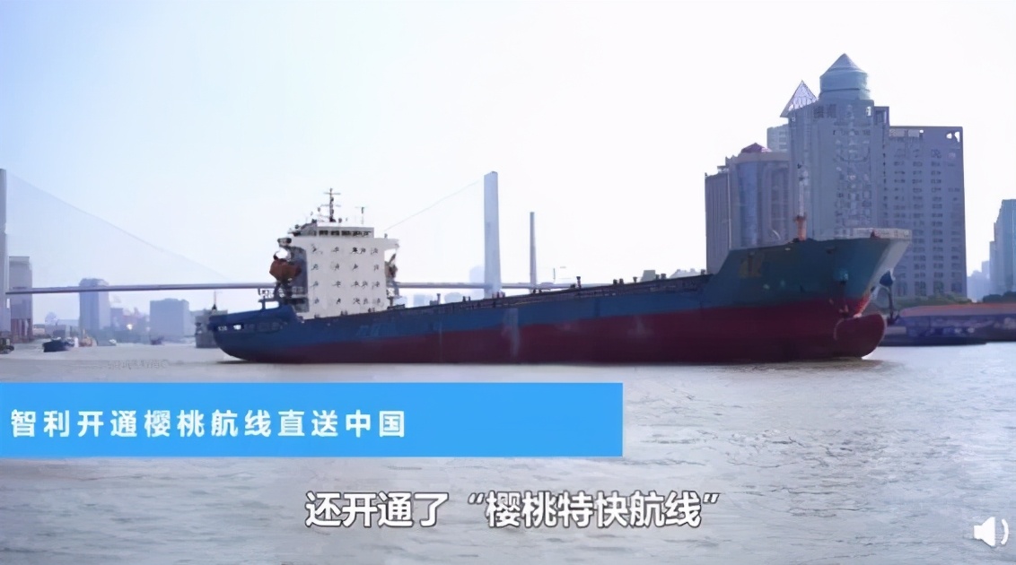 50元一斤草莓被骗,一颗60元白色草莓