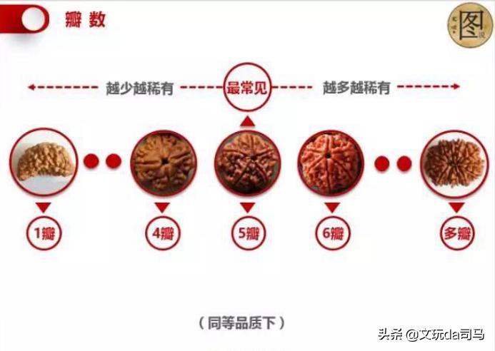 金刚菩提盘玩中的效果图片大全,文玩菩提图解