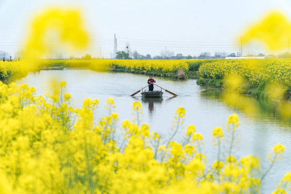 踏春赏花正当时，打卡千垛水上油菜花！玩转兴化景点美食全攻略