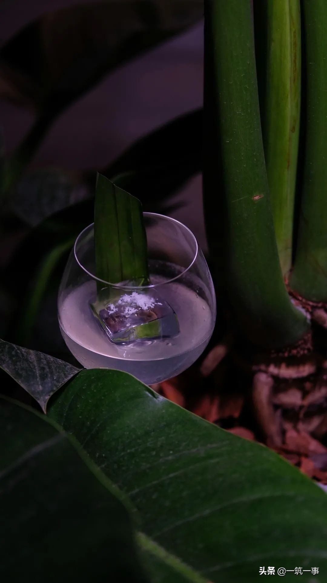 成都最顶级的酒吧,成都酒吧好约吗