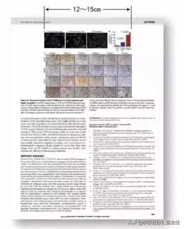 医学sci论文插图教程,sci论文小插图