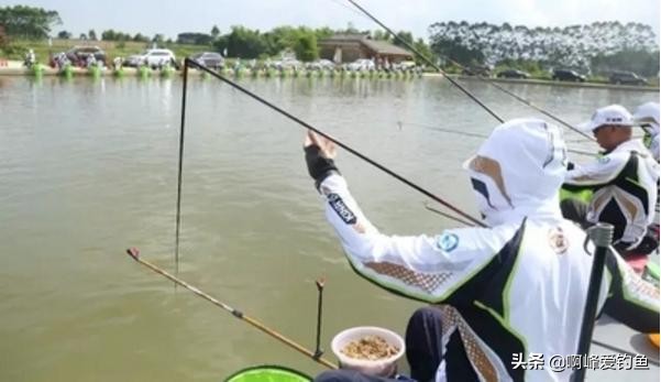 鱼竿的测评,鱼竿测评要测评哪几个要点