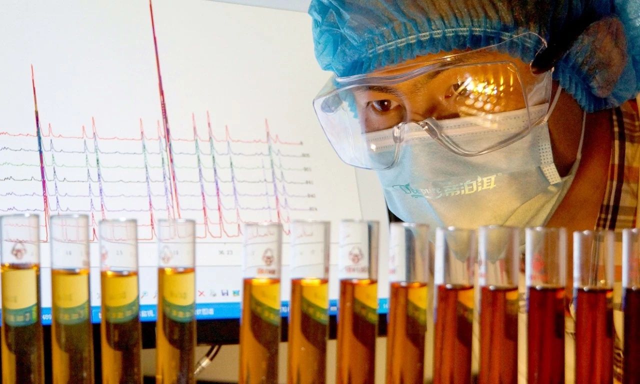 版纳普洱临沧产区普洱茶的特点,云南普洱茶区的分布图高清版