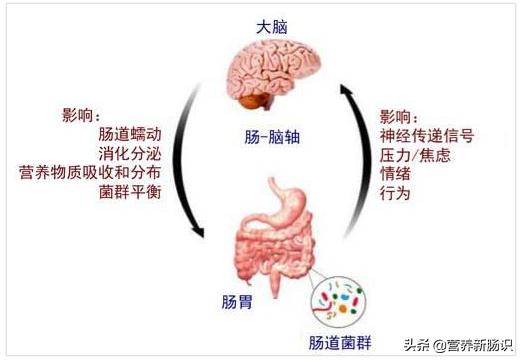 抑郁患者吞药需要做什么,吞抑郁药了怎么自救