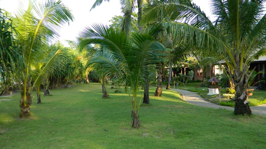 缅甸维桑海滩日出,缅甸仰光到维桑路况