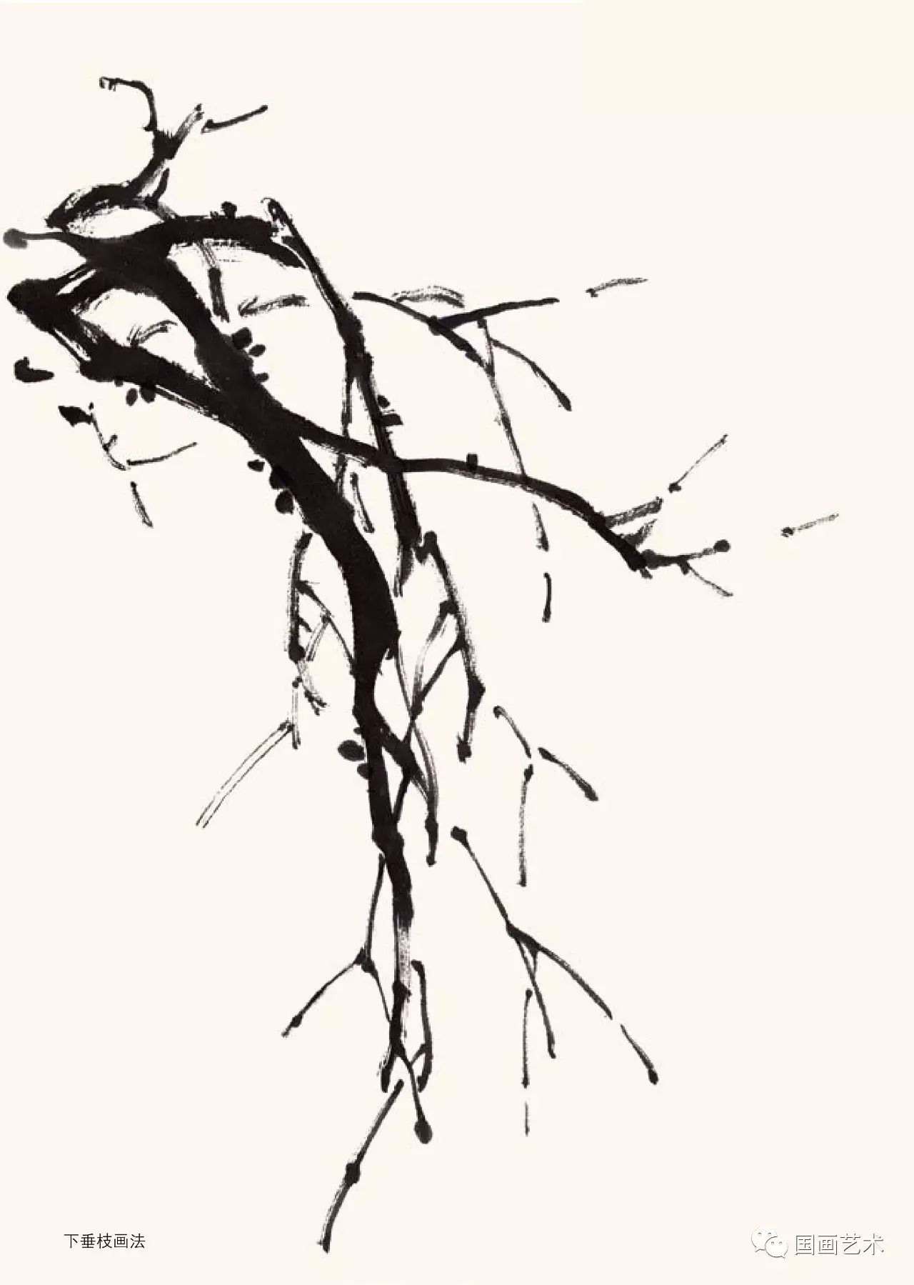 图文教程梅花,国画梅花的画法视频