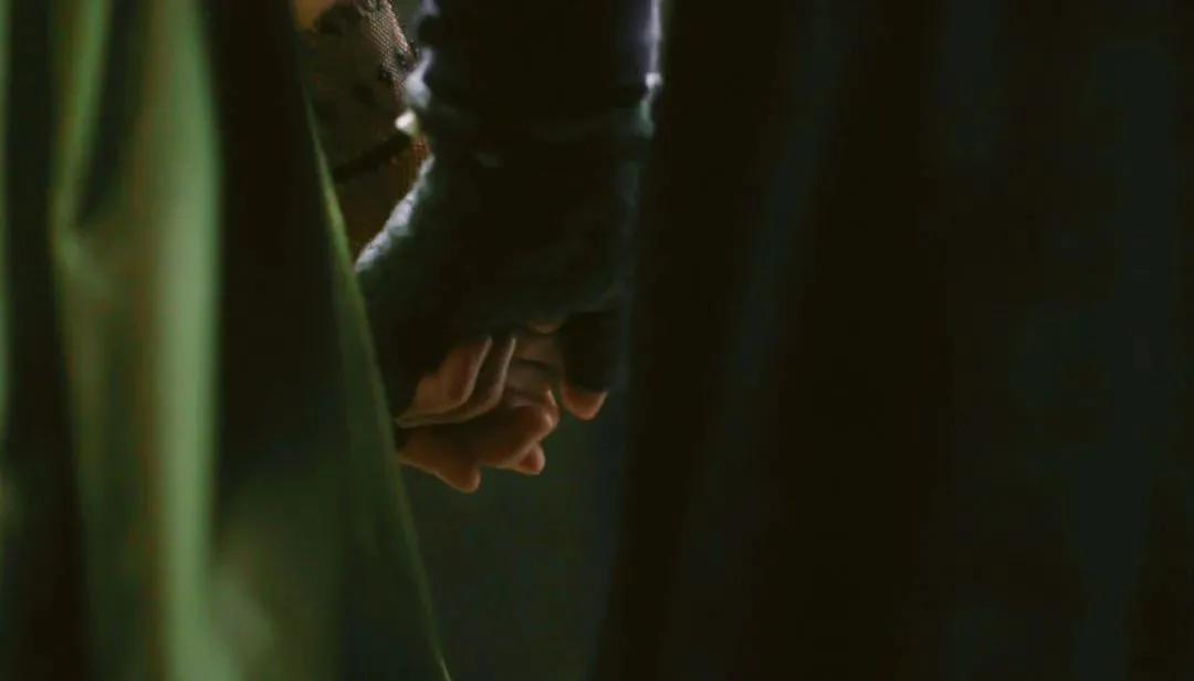 《菊石》的后劲：沉浸体验式的阅片过程，前所未有