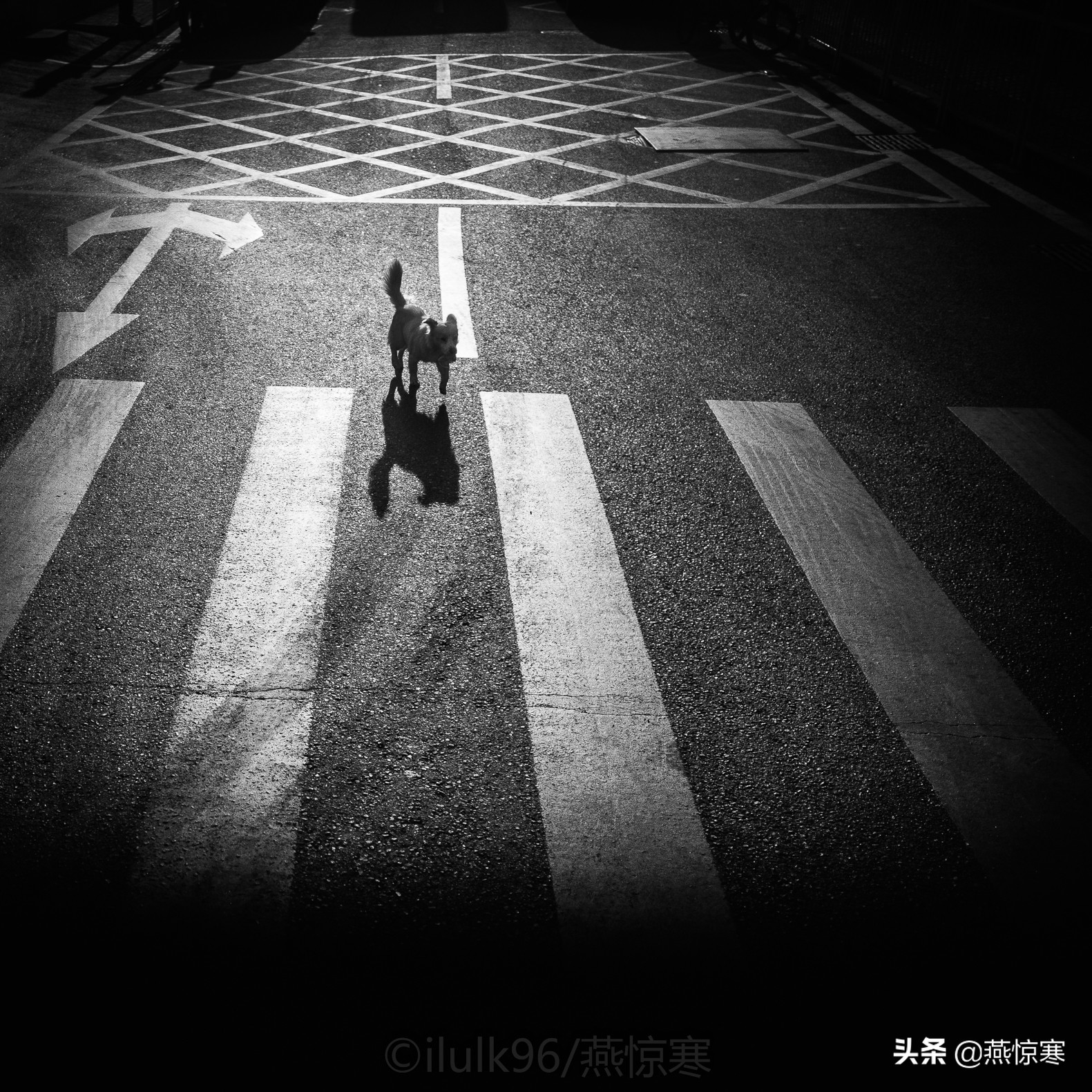 佳能rf24-702.8镜头,推荐几款佳能相机和镜头