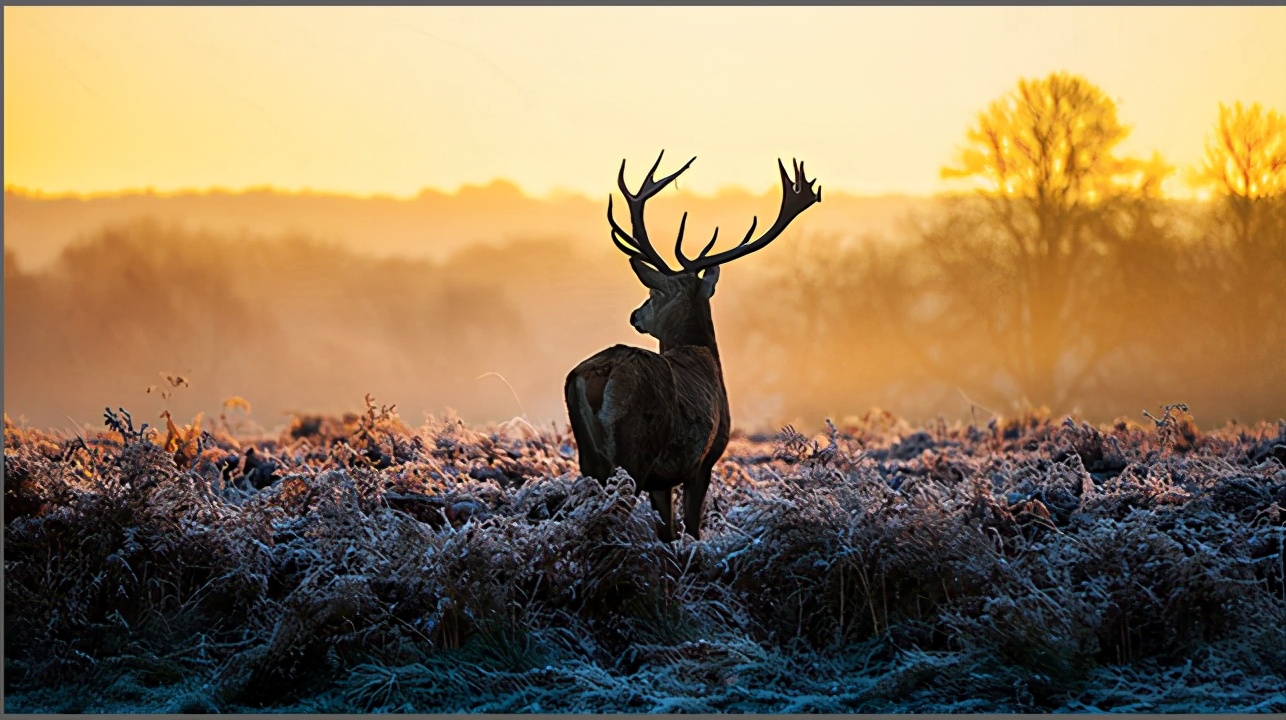 百度网盘怎么上传到es文件浏览器,es文件浏览器放不了百度网盘视频