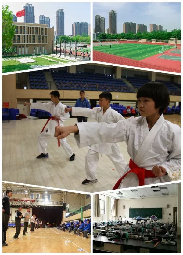 为何聪明的家长都把房子买到图书馆附近？（金水区篇）