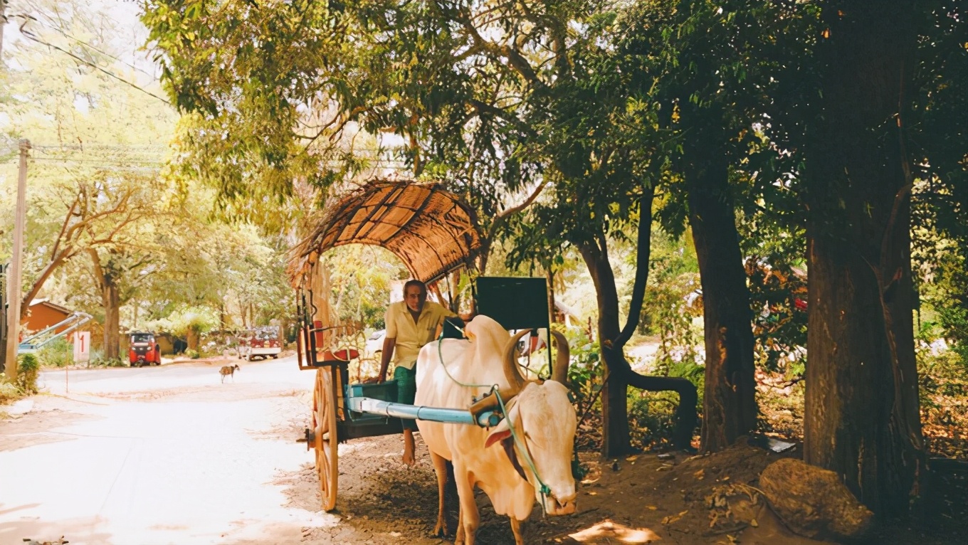 斯里兰卡攻略图片,攻略斯里兰卡旅游最省费用的路线