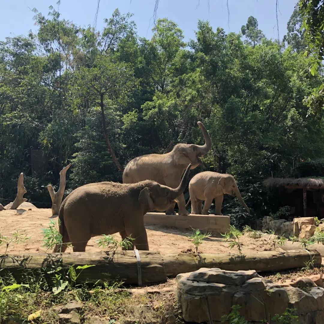 「穗港深」国庆七日南下计划