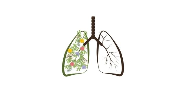 第1370期：呼吸道菌群：受何影响？有何作用？