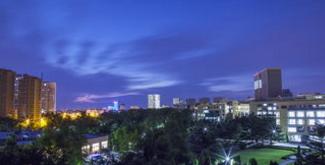 青岛大学2019就业质量情况