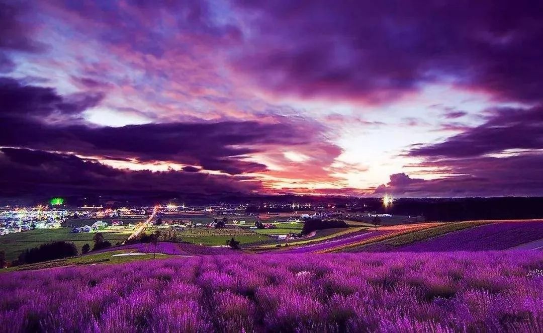 姘告亽涔嬭姳铚¤強鐪奸湝闈㈣啘,no.178