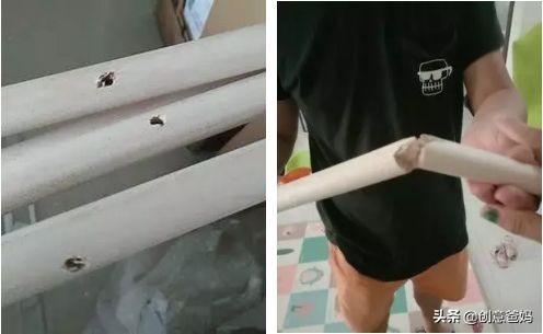 孩子值得拥有一顶童话帐篷，最美的阅读，配最像童话的“地方”