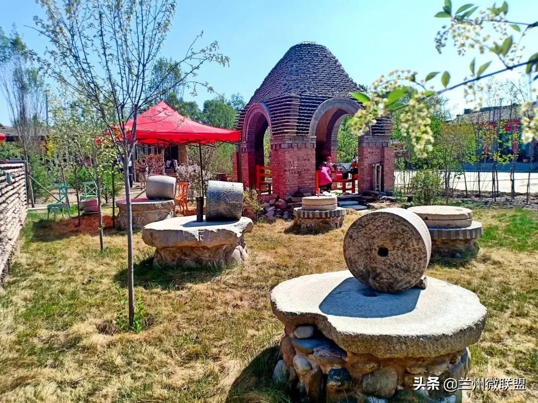 杏林湖黑天鹅,五一假期观光兰州