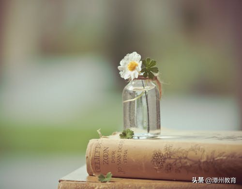 知乎上102个高赞回答，网友直呼：经典！第5条绝了