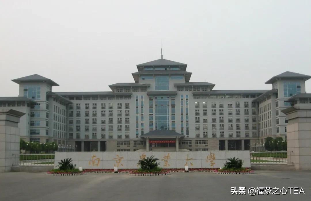 湖南农业大学茶学专业怎么样,广西有哪些高校开设茶学