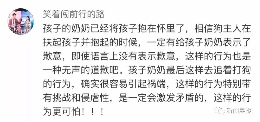 遛狗不牵绳算野狗吗,遛狗不牵狗绳咬伤别人怎么办