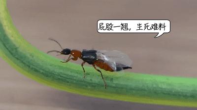 熬夜玩手机女性危害,女生熬夜玩手机导致失明