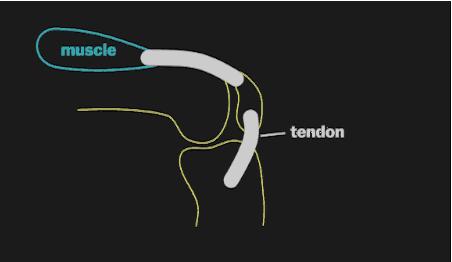 膝盖疼打封闭一般打的什么药,膝盖疼得受不了怎么打封闭