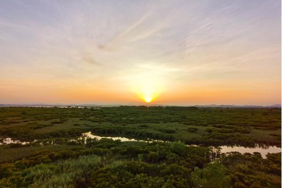 生蚝之乡广东阳江,钦州市碧桂园红树湾88平观景效果