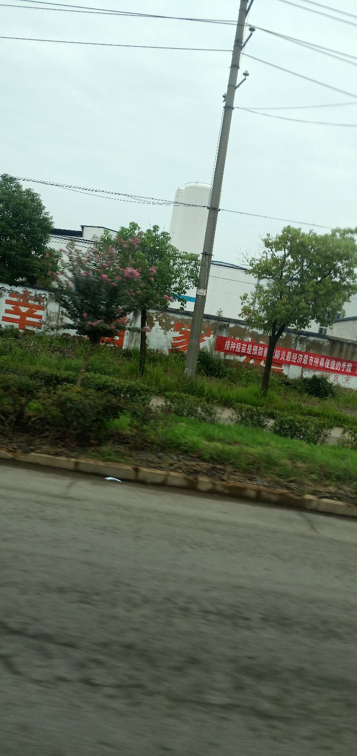 孝感市中心医院全身体体检,体检随笔