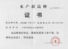 中科三号鲫鱼生长速度对照表,鲫鱼苗中科三号和中科五号哪个好