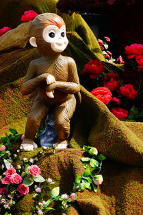 天地雷公怒震蝙蝠，才女“人面猴心”感染“猫骑月”！