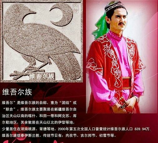中国五十六个民族的服饰,56民族图腾图